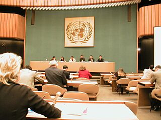 Giving Speech at the UN